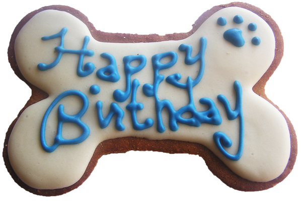 Dog top birthday bone