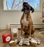 Birthday Unisex Grain-Free Dog Cookie Set – Brown Iced Bone & Cupcake