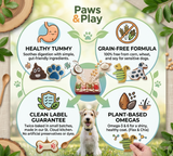 Paws and Play Collection - Hand-Decorated Organic Gourmet Dog Cookies – Grain-Free (Copy)