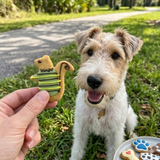 Paws and Play Collection - Hand-Decorated Organic Gourmet Dog Cookies – Grain-Free (Copy)