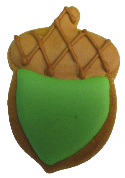 Acorn