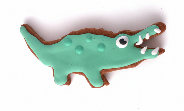 Alligator