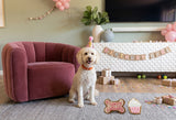 Birthday Girl Grain-Free Dog Cookie Set – Pink Iced Bone & Cupcake