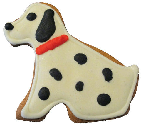 Dalmation