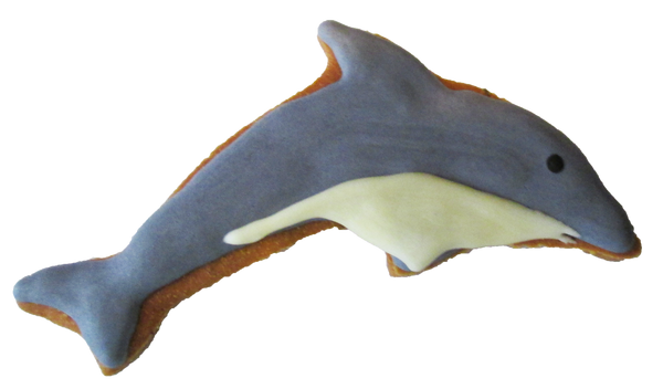 Dolphin