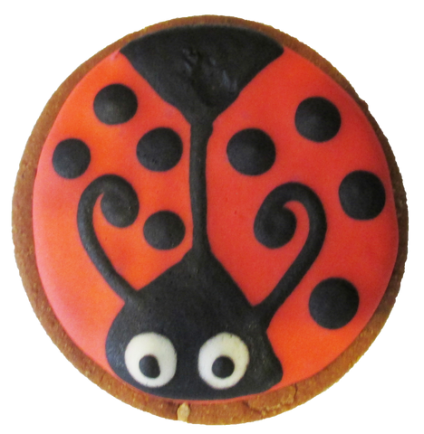Lady Bug