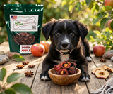 Bone Bons Pork Wrapped Apple Bites – Artisan Pork Loin & Organic Apple Dog Treats – Made in USA – 5oz Bag