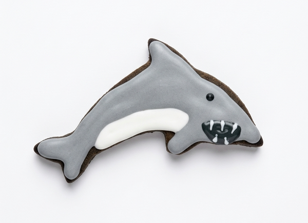 Shark