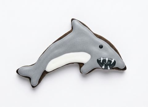 Shark